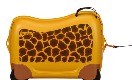 Abnehmbarer Schultergurt