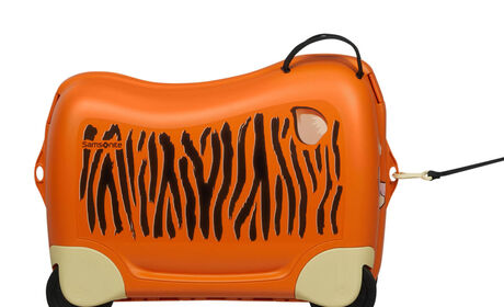 Bandoulière amovible