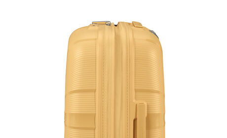 Erweiterungsfähigkeit