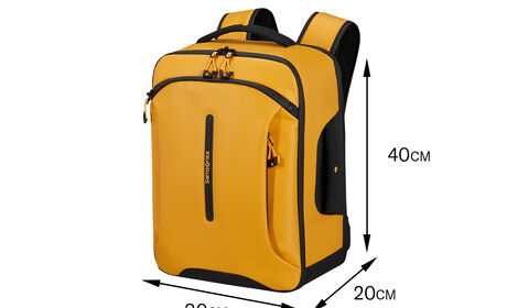 Gratuit à bord des vols Wizz Air