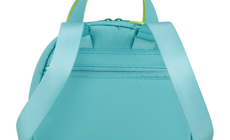 Secret back compartment