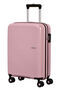 Summer Hit Trolley mit 4 Rollen 55cm