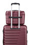 Flashline Beauty Case