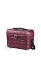 Flashline Beauty Case
