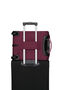 Cloudrider Trolley mit 2 Rollen S/M