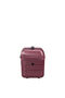 Flashline Beauty Case