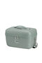 Samsonite Image Beauty Case  Thyme