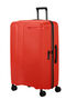 Prodiver Trolley mit 4 Rollen erweiterbar 81cm