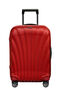 C-Lite Trolley mit 4 Rollen 55cm