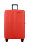 Prodiver Trolley mit 4 Rollen erweiterbar 81cm