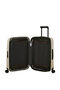 Essens Trolley mit 4 Rollen erweiterbar 55cm